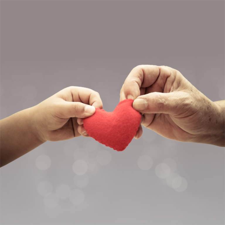 8 de dezembro: Dia da Família e Dia da Justiça