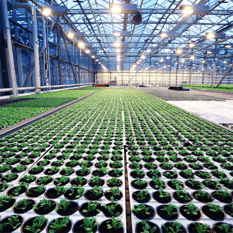 Sistema Privado de Financiamento