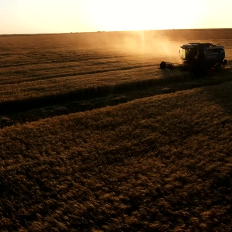 Cédula de Produto Rural: registro