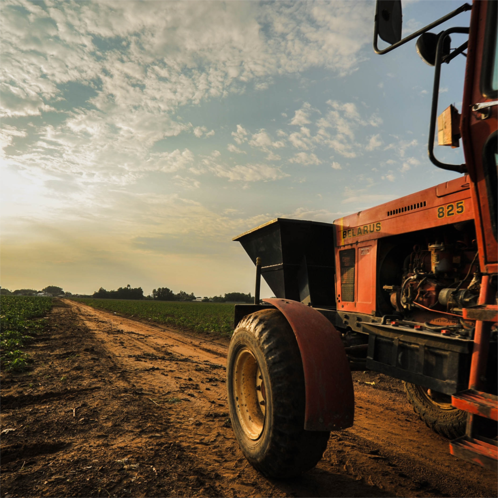 ID AGRO é mais uma burocracia? Vejamos os benefícios trazidos pelo aplicativo